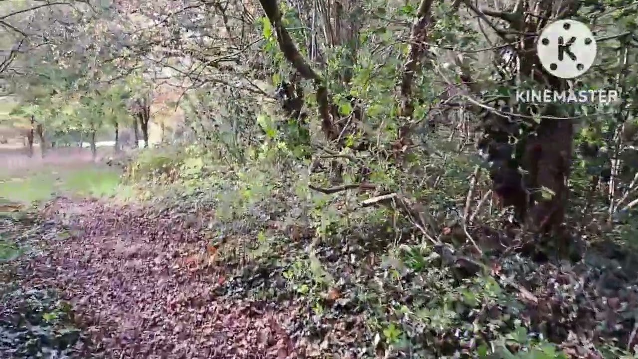Alfreton: A Short Walk