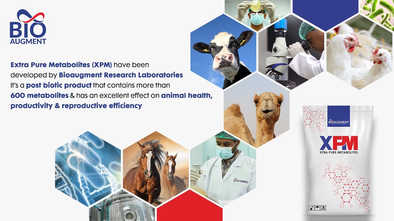 Bioaugment XPM - English Version