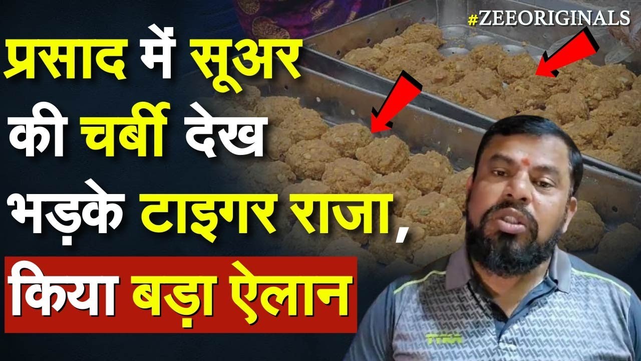 Tirupati Balaji Laddu Row: प्रसाद में सूअर की चर्बी देख भड़के Tiger Raja, किया बड़ा ऐलान |Beef Fat