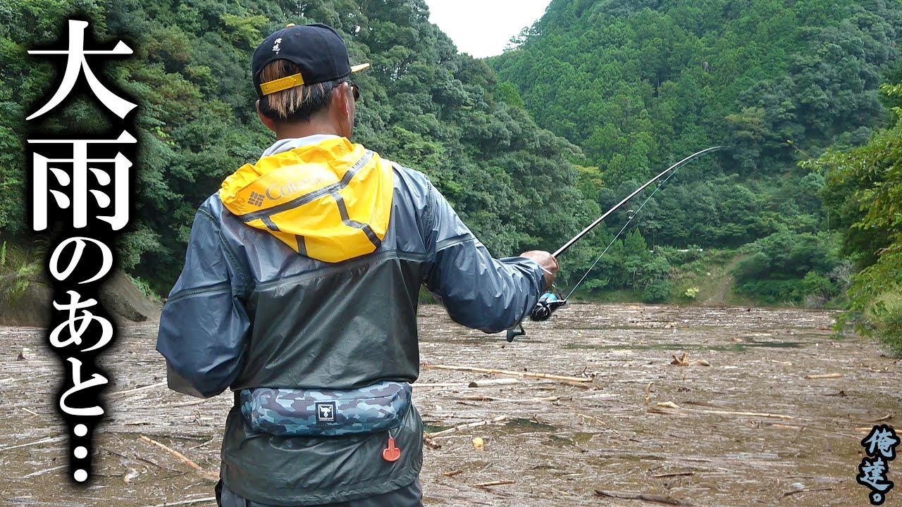 水が見えないほど埋め尽くされた流木の下から魚を引っこ抜くワザ。