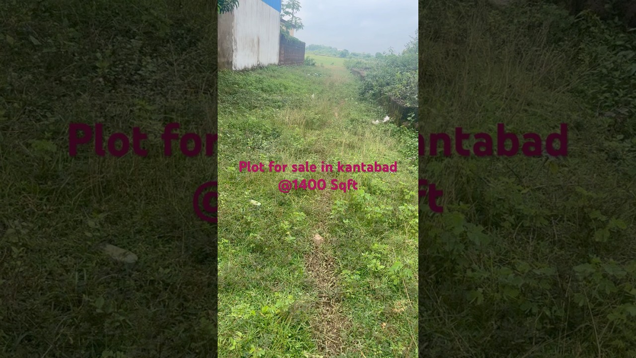 plot for sale in new city Bhubaneswar#lowcostplots #bhubaneswar #odisha #realestate #affordableplots