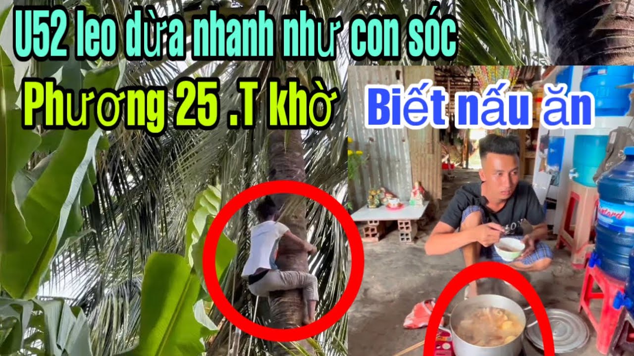 Giỏ Thịt Heo Và Nồi Thịt Kho Nước Dừa: Khoảnh Khắc Ấm Áp Sau Bao Năm Mẹ Đổ Mồ Hôi!