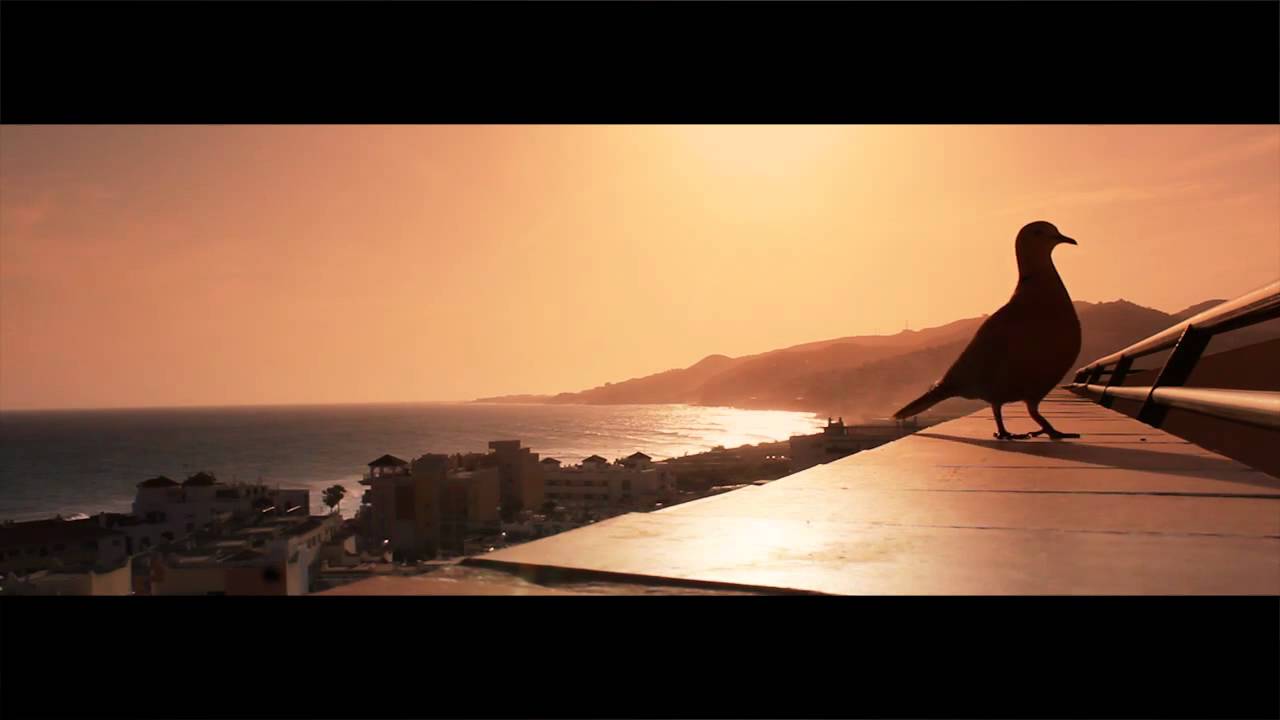 Canon 600D | Reaching By Adam Waithe