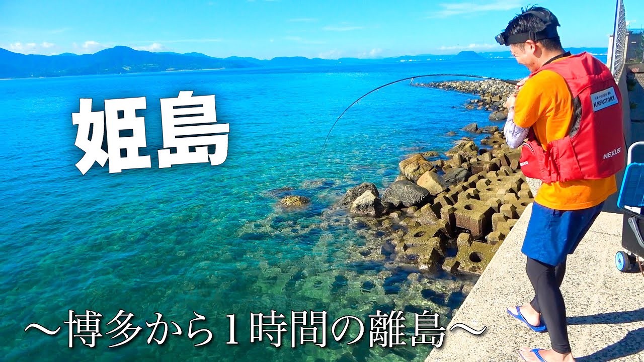 博多から１時間の離島で釣り調査をしてみると...水中映像有【初級】姫島