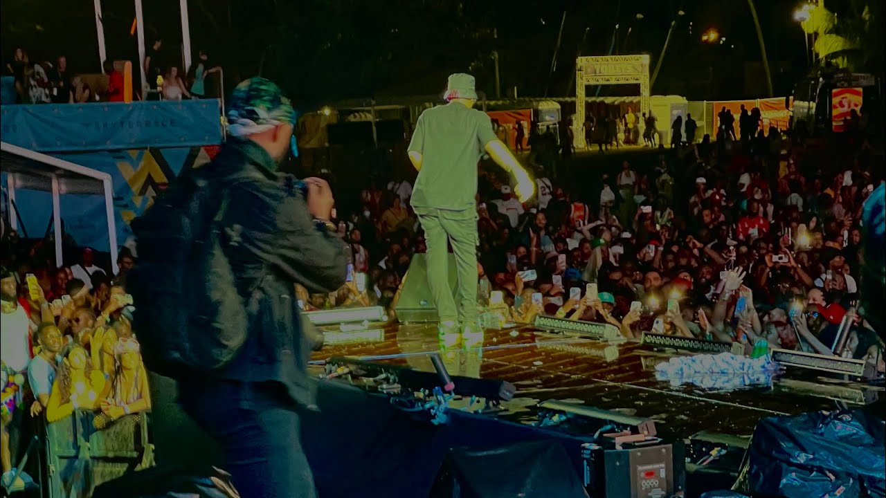 Tekno at Afronation (Puerto Rico)