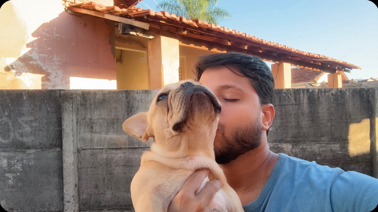 Estou muito preocupado, meu cachorrinho passou mal a noite toda ￼