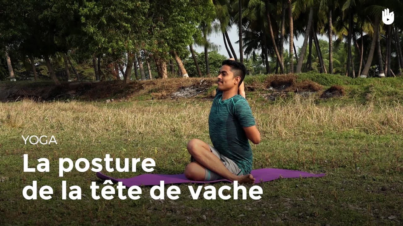 Apprendre la posture de la tête de vache - Gomukhasana | Apprendre le Yoga