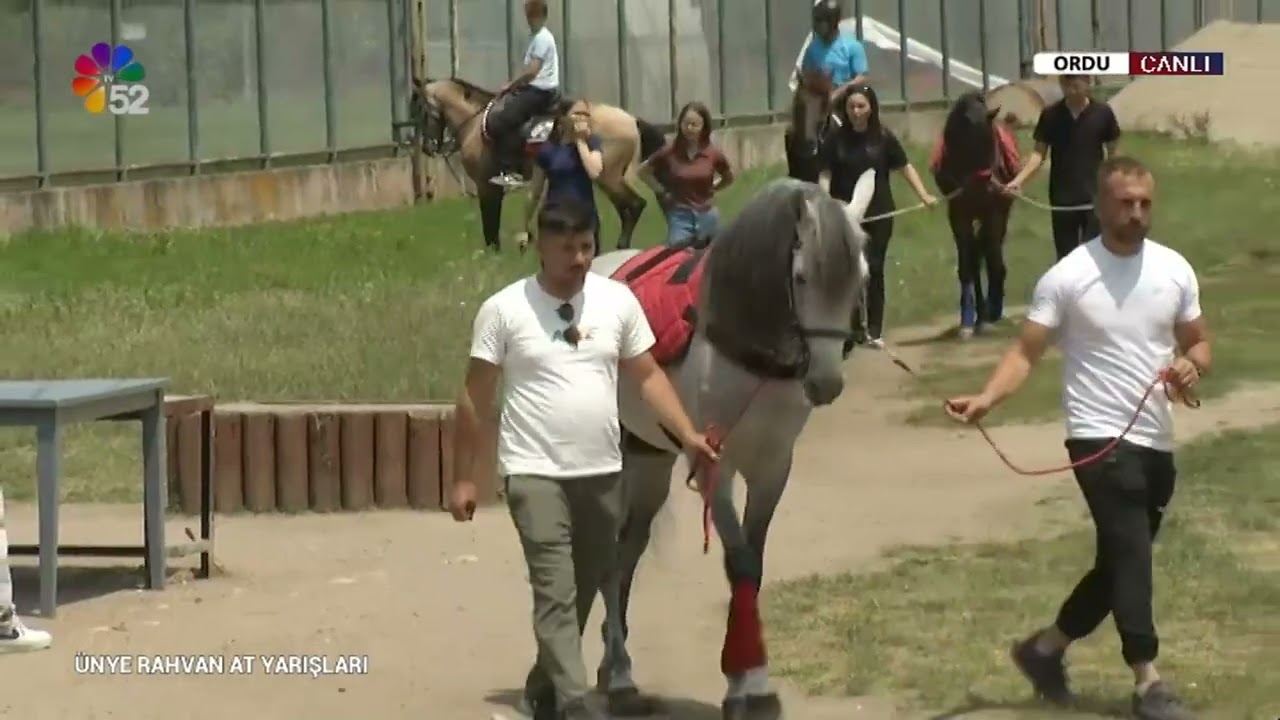 08/06/2025 ÜNYE RAHVAN AT YARIŞLARI - ÜNYE / ORDU