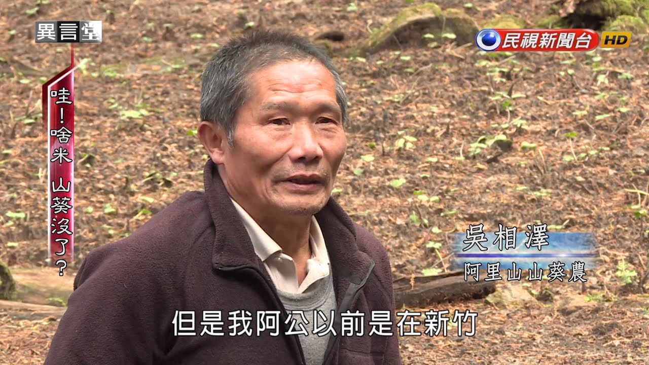 2016.03.12【民視異言堂】哇! 啥米 山葵不見了