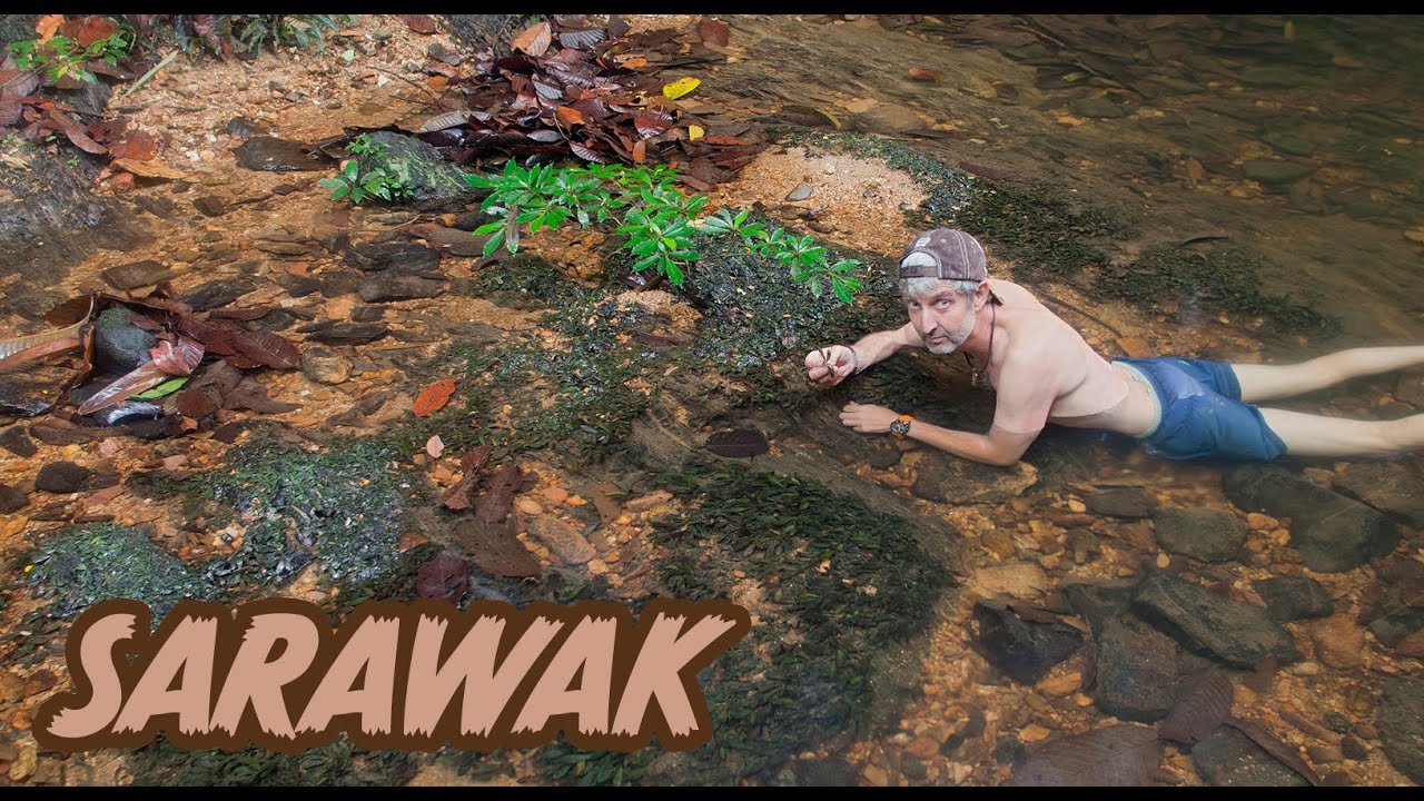 Journey through the breathtaking underwater worlds of Sarawak with Chris Lukhaup