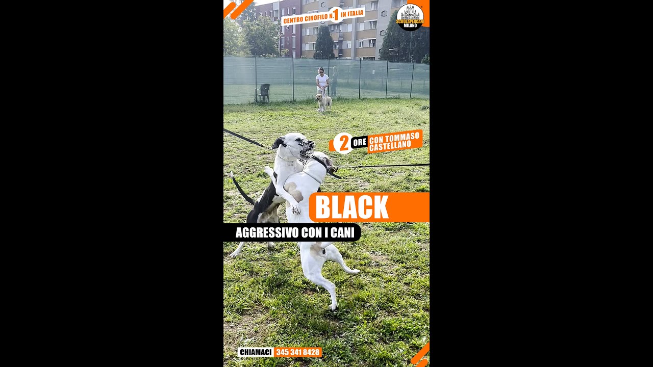 2 ORE CON TOMMASO - BLACK