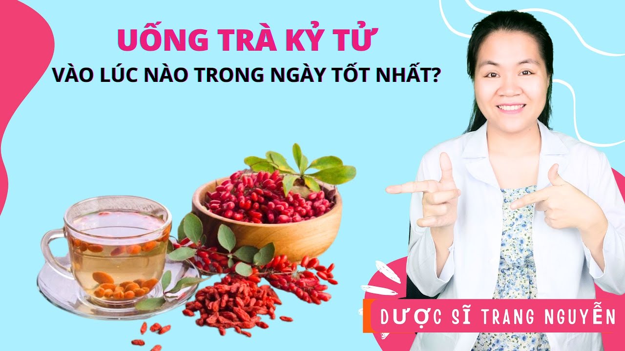Uống trà kỷ tử vào buổi nào là tốt nhất trong ngày? Liều lượng sử dụng an toàn