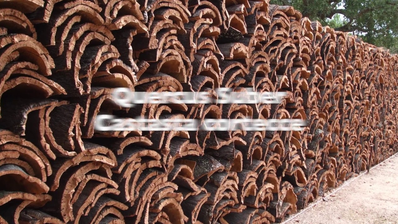 Thermotec srl: alcune lavorazioni eseguite con ThermoSuber