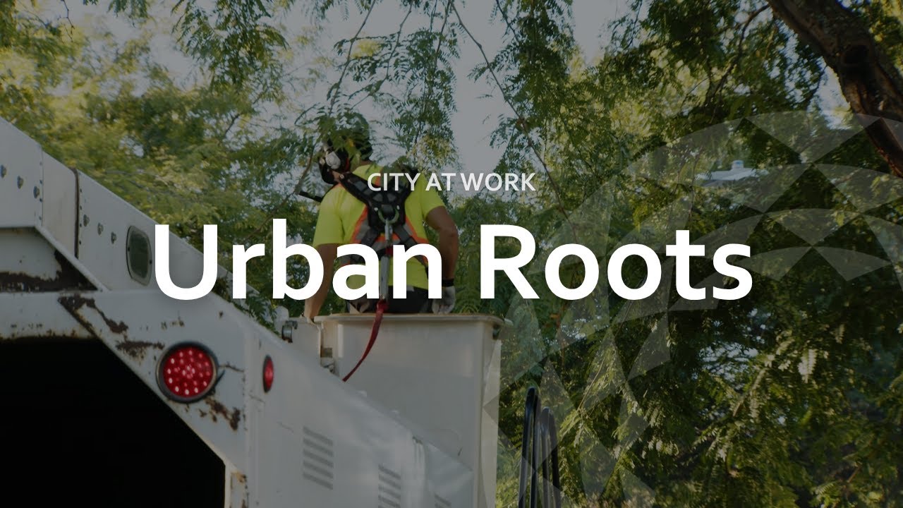 City At Work | Urban Roots | Documentary Series