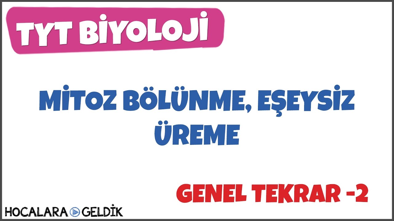 Mitoz Bölünme, Eşeysiz Üreme
