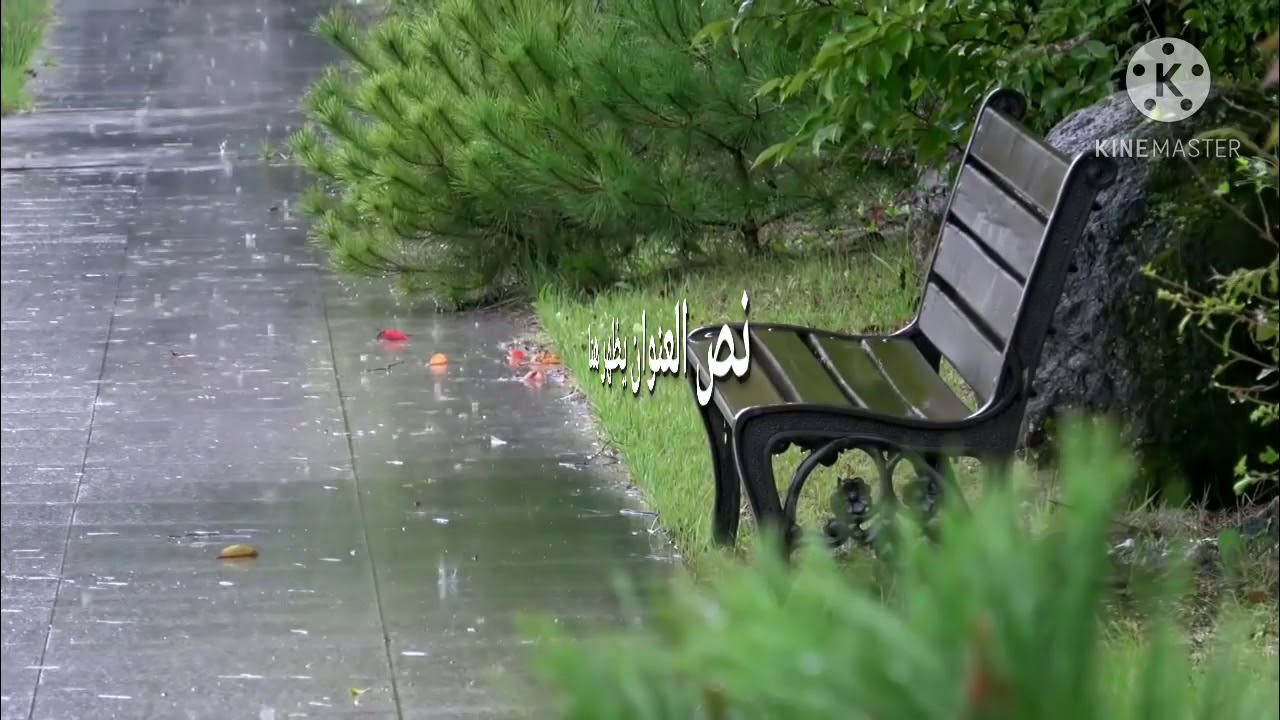 اسلام صبحي سورة الكهف مع اجواء الشتاء