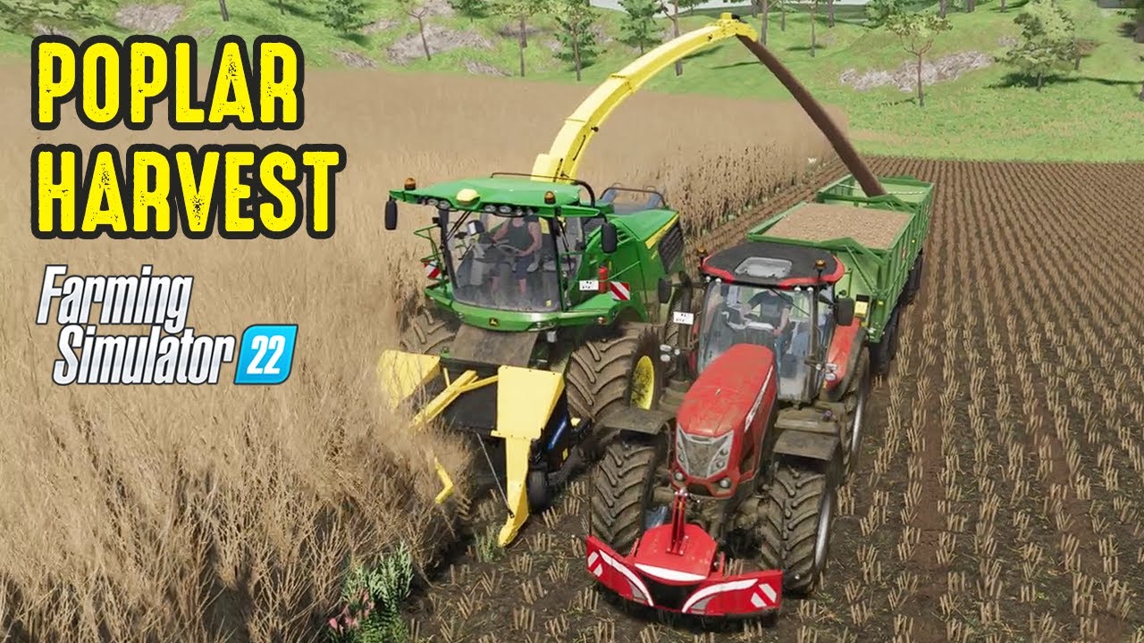 POPLAR HARVEST WITH JOHN DEERE 9900 | FARMING SIMULATOR 22