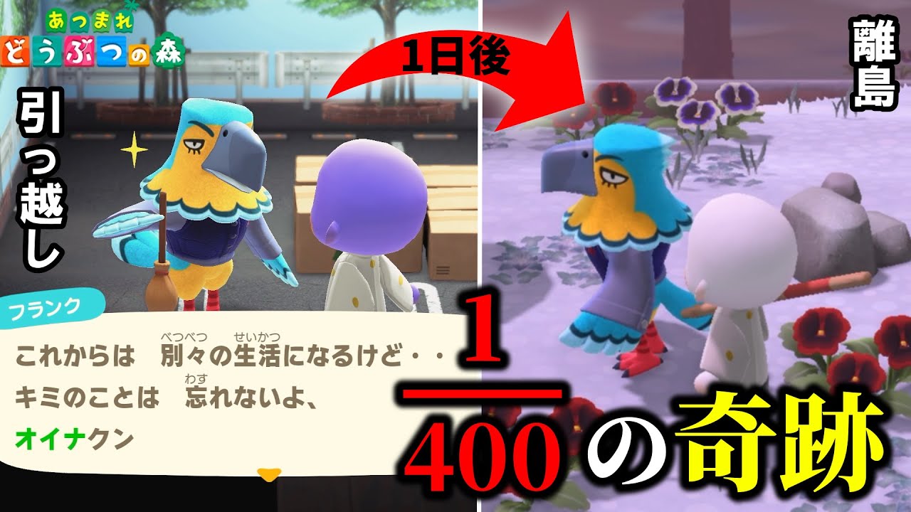 【神回】引っ越した住民が次の日離島に現れた。【あつまれどうぶつの森】【ゲーム実況】