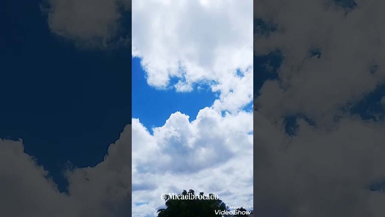 Dog de Ra&ccedil;a