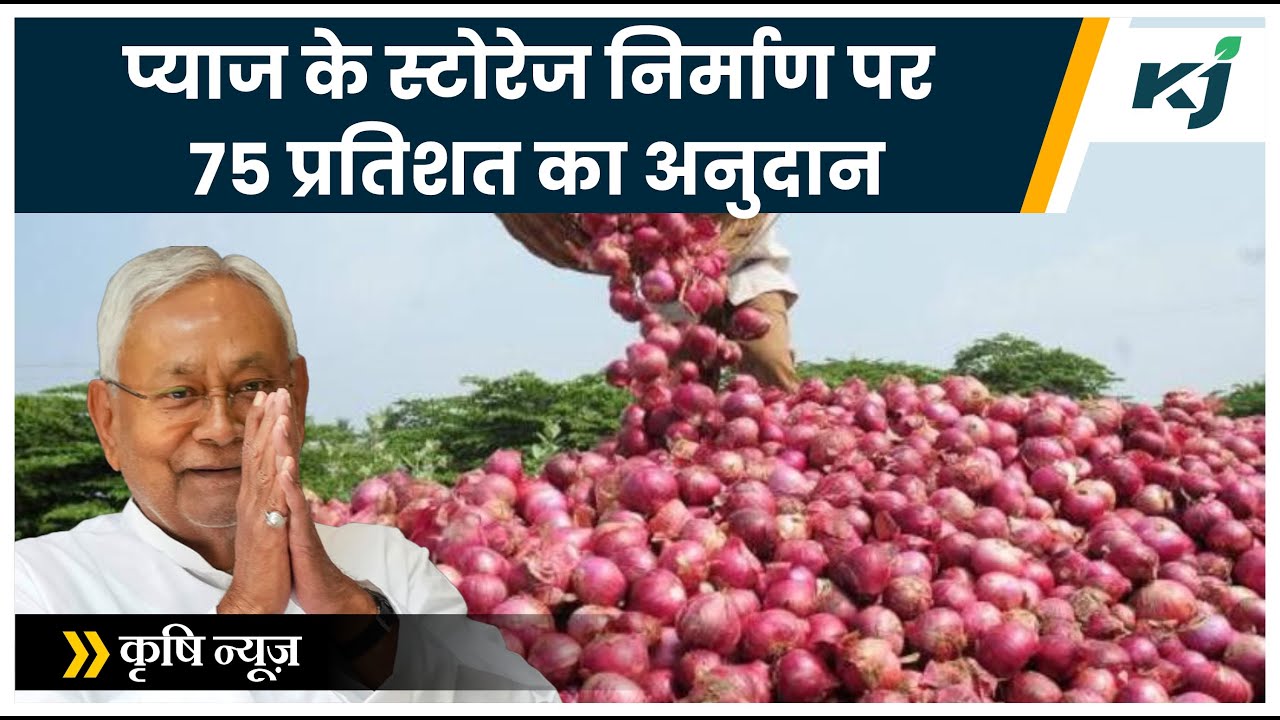 Bihar | प्याज के स्टोरेज निर्माण पर मिलेगा 75 प्रतिशत का अनुदान | Onion Cold Storage Subsidy