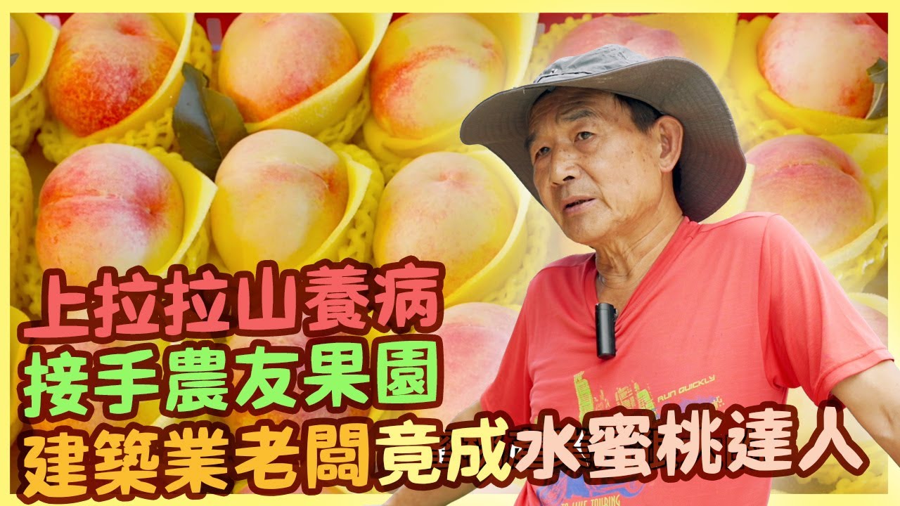 【桃園復興區】拉拉山水蜜桃 覃明達力推微生物菌友善果園|用心的產業|美麗心台灣(433)
