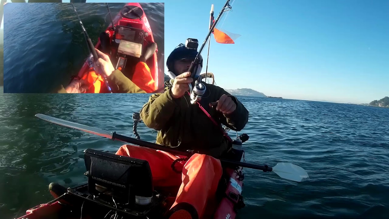 Pesca desde kayak en Galicia. Chocos de la ría de Vigo