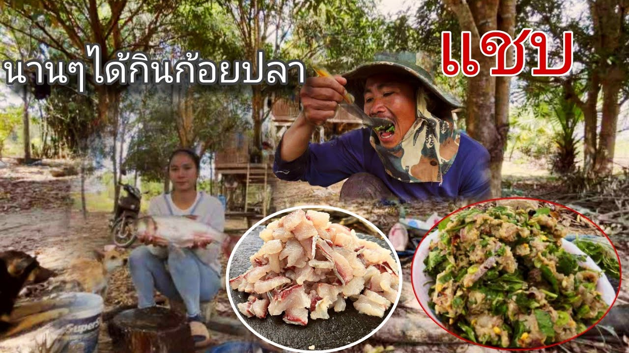 สบายดีปีใหม่ก้อยปลาโตใหญ่อีกแล้ว 2 มกราคม ค.ศ. 2026