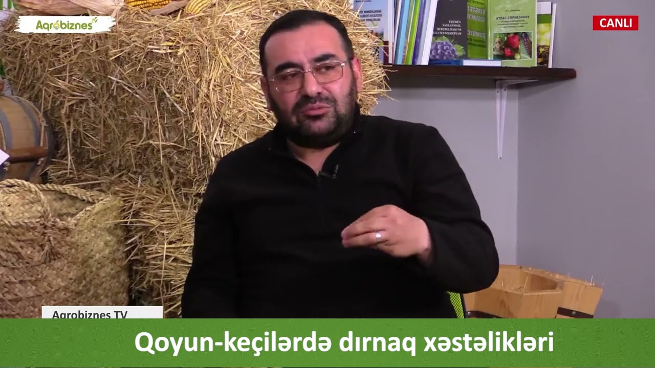 Qoyun və keçilərdə dırnaq xəstəlikləri
