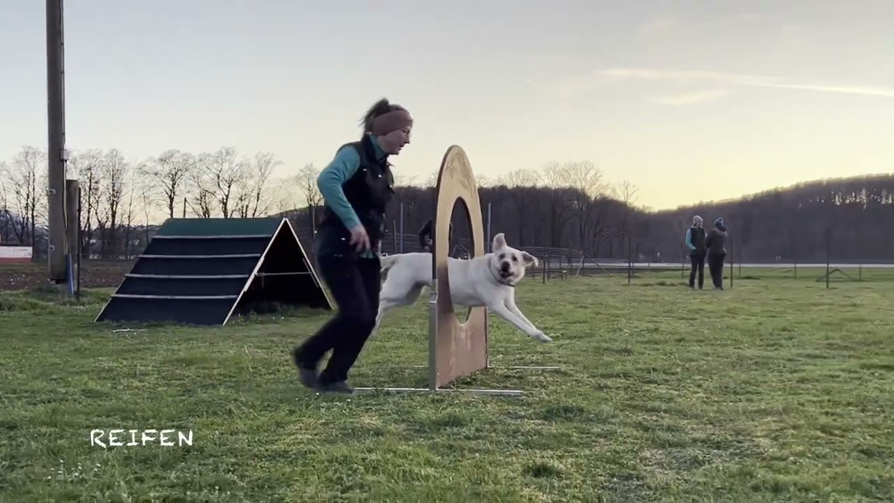 Traunstoana Hundeschule I Training - Breitensport I 25/03/2024