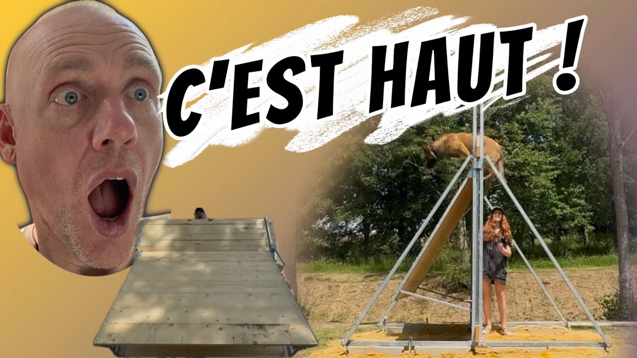 TUTO approche de la PALISSADE - ma fille découvre ce saut en RING & MONDIO avec son malinois