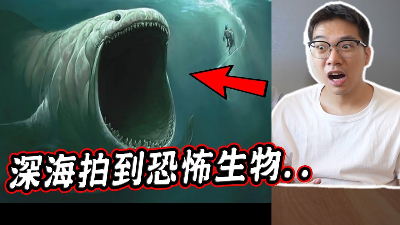 四個深海底下拍到的神祕生物影片 Mysterious Underwater Creatures Caught on Camera【希露弟弟啃雞腿】