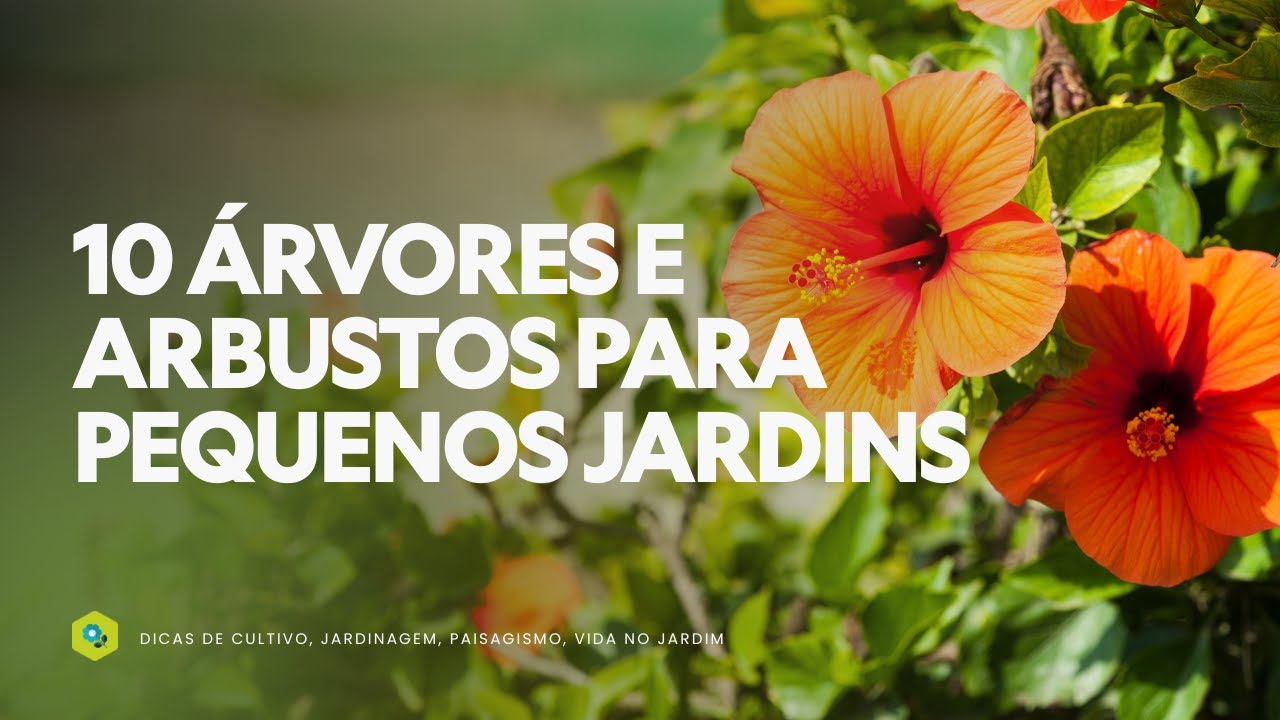 10 ÁRVORES e ARBUSTOS para PEQUENOS JARDINS