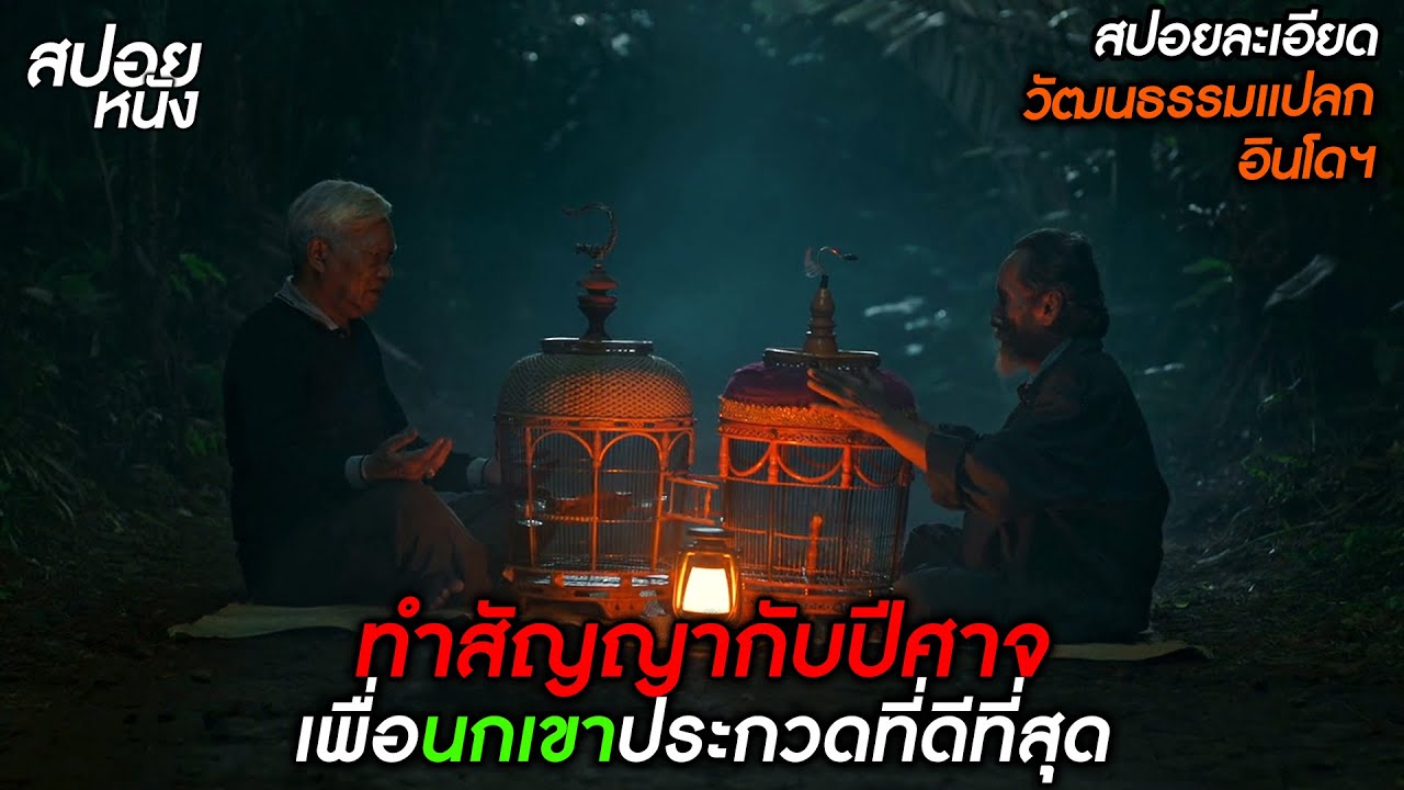 (สปอยแบบละเอียด Singsot 2025) วัฒนธรรมประหลาด แข่งนกเขาผี