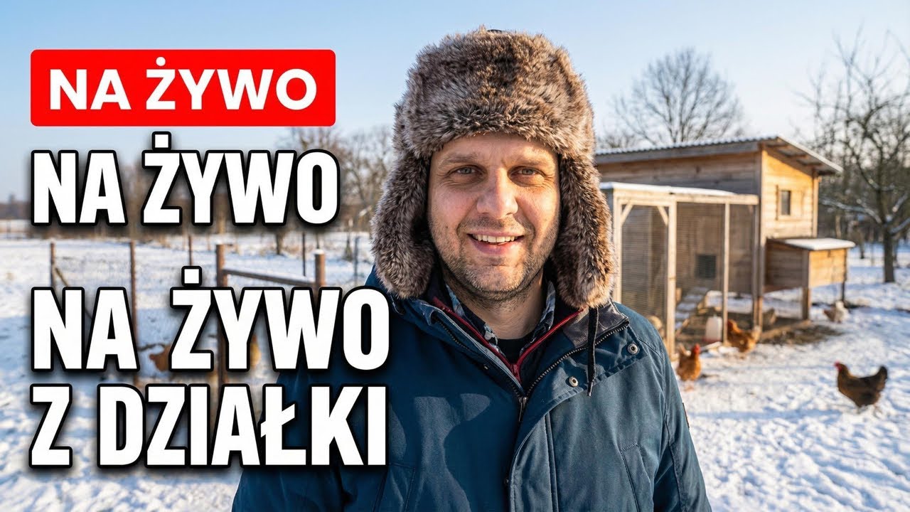 Naprawiamy prąd na działce