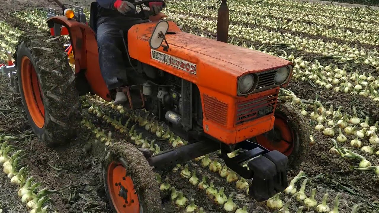 玉ねぎ　onion　根切機　次世代型根切機　回転棒タイプ　【キュウホー　ASHORAGRI】