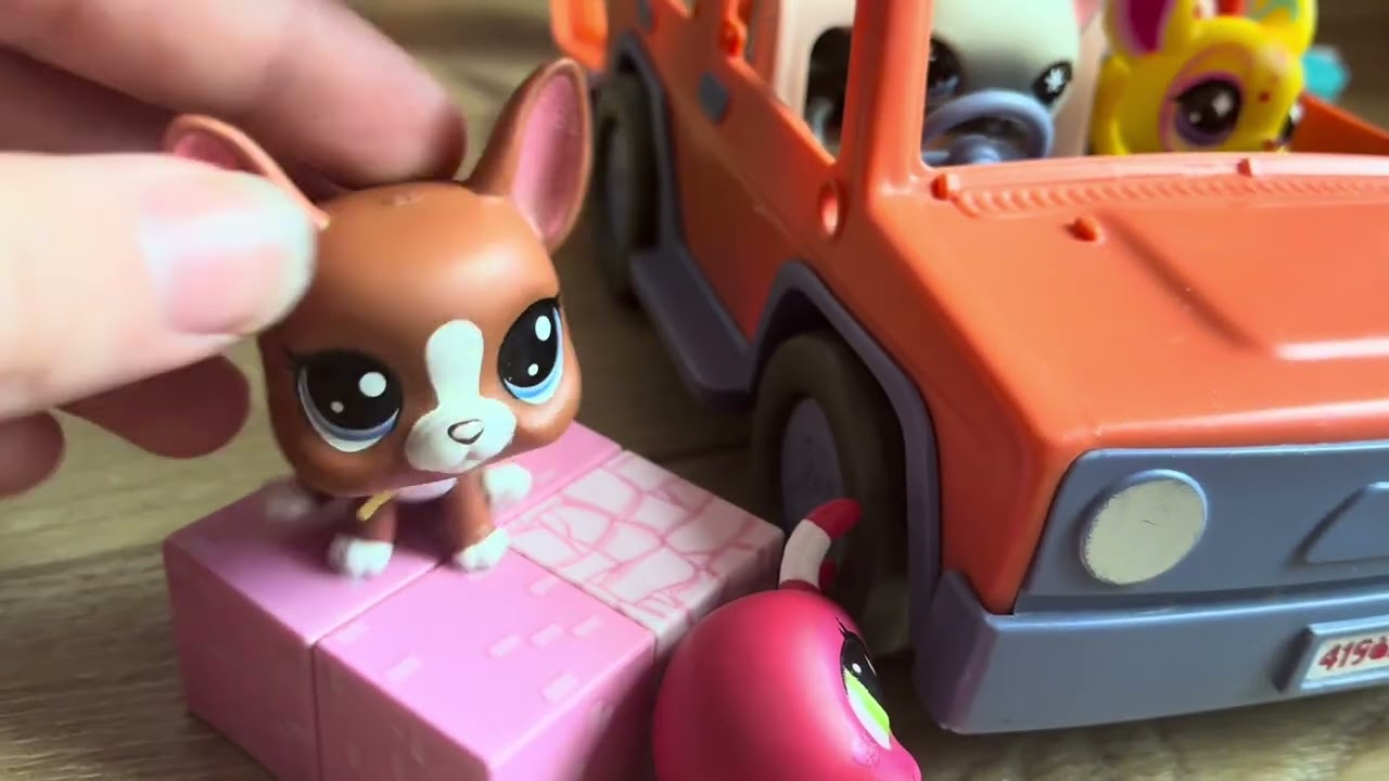 Crazy Hospital Visit Lps!