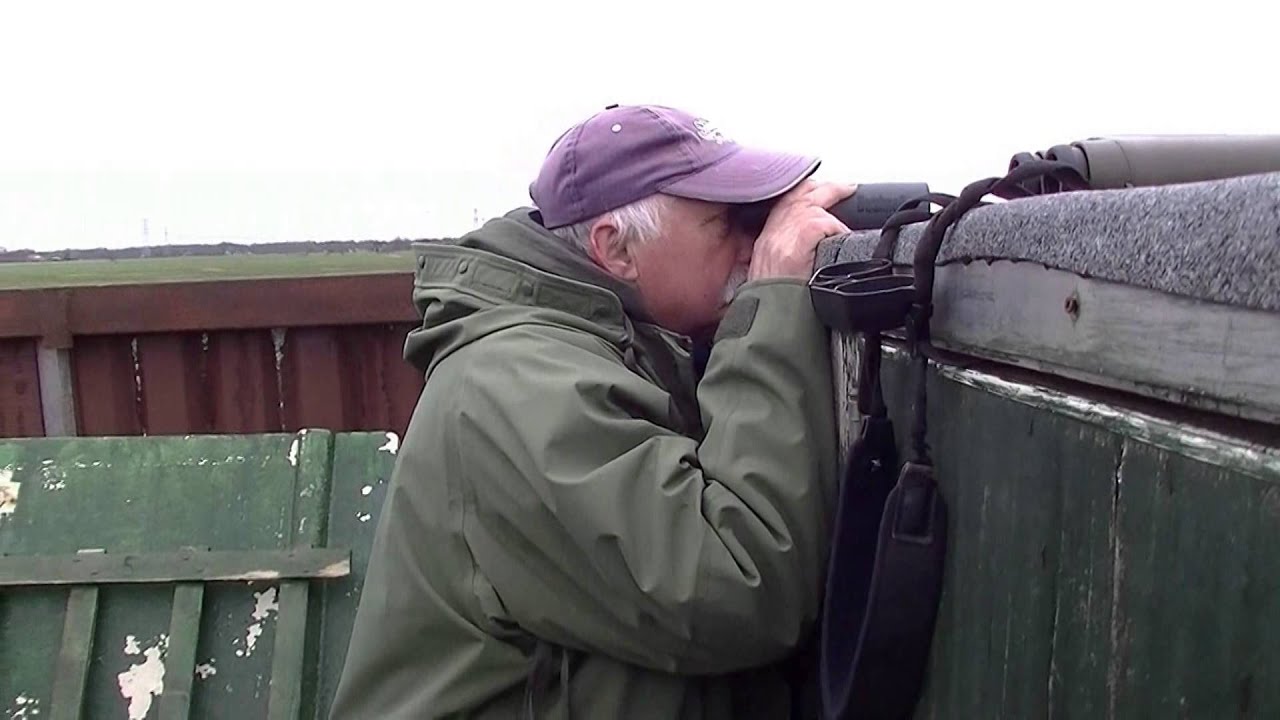 Ganzenvangen bij Harm en Alle van de Wal HD