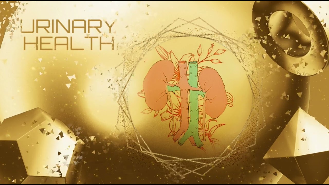 𝗠𝗜𝗖𝗧𝗨𝗥𝗔𝗧𝗘 ⎔ ideal bladder + urinary health subliminal ⟁ listen once ◈ 𝒬𝒮