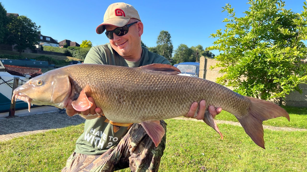 River Thames Barbel 28/7/24
