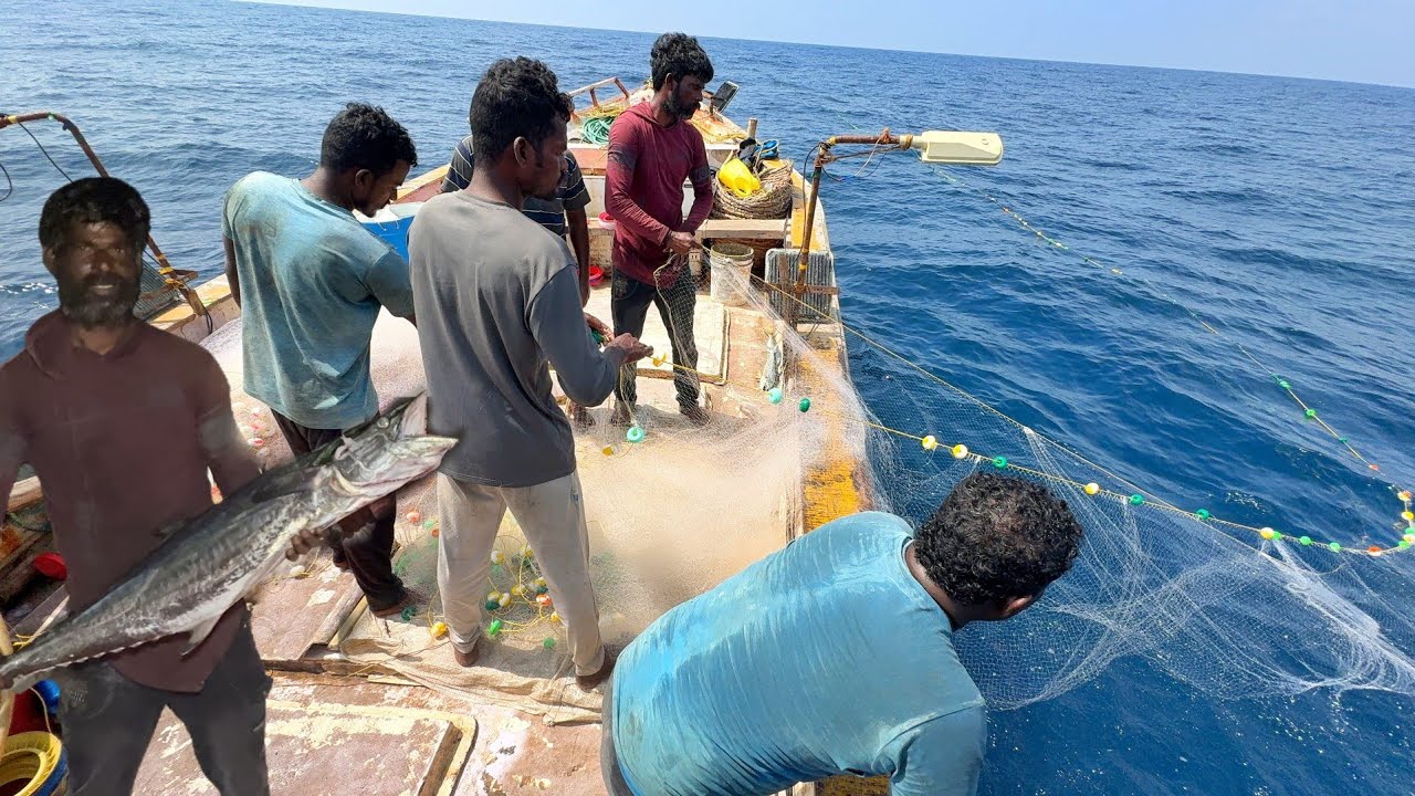 Ohh❗First Day Lucky Day 💢 We Caught Sheer Fishes in Deep Sea Fishing 
