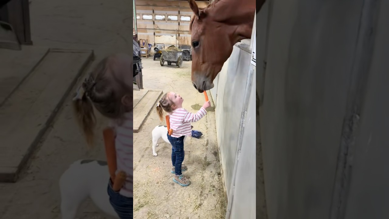 The apron was washing so we made do #fyp #viral #horse #treanding #treats