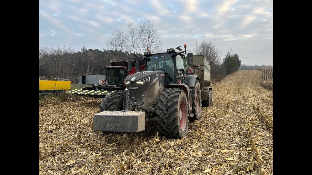 ☆🇵🇱 KOSZENIE KUKURYDZY CASE 6150 & FENDT 942 VARIO 🇵🇱☆GR WEZGRAJ☆🇵🇱