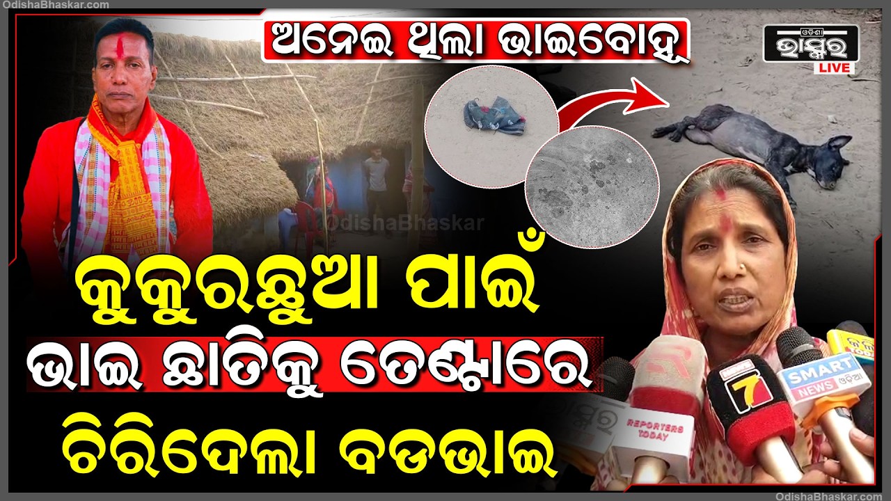 କୁକୁର ଛୁଆ ପାଇଁ ମହାଭାରତ, ସାନ ଭାଇ ଛାତିକୁ ଆକ୍ରମଣ କରି ଏମିତି କରିଦେଲା ବଡଭାଇ...