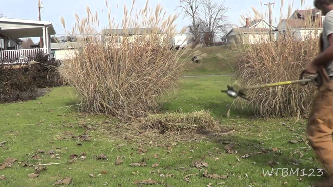 Stihl FS90r ,Doing Some Yard Work, Cutting Down Grass Plants