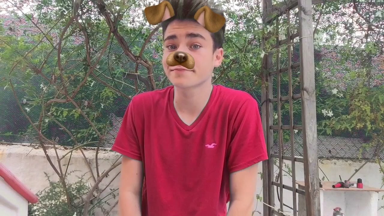 Videostar! Perro fiel