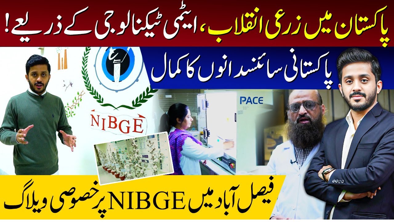 PAEC bringing revolution in Pakistan's Agriculture through scientific research | NIBGE Faisalabad