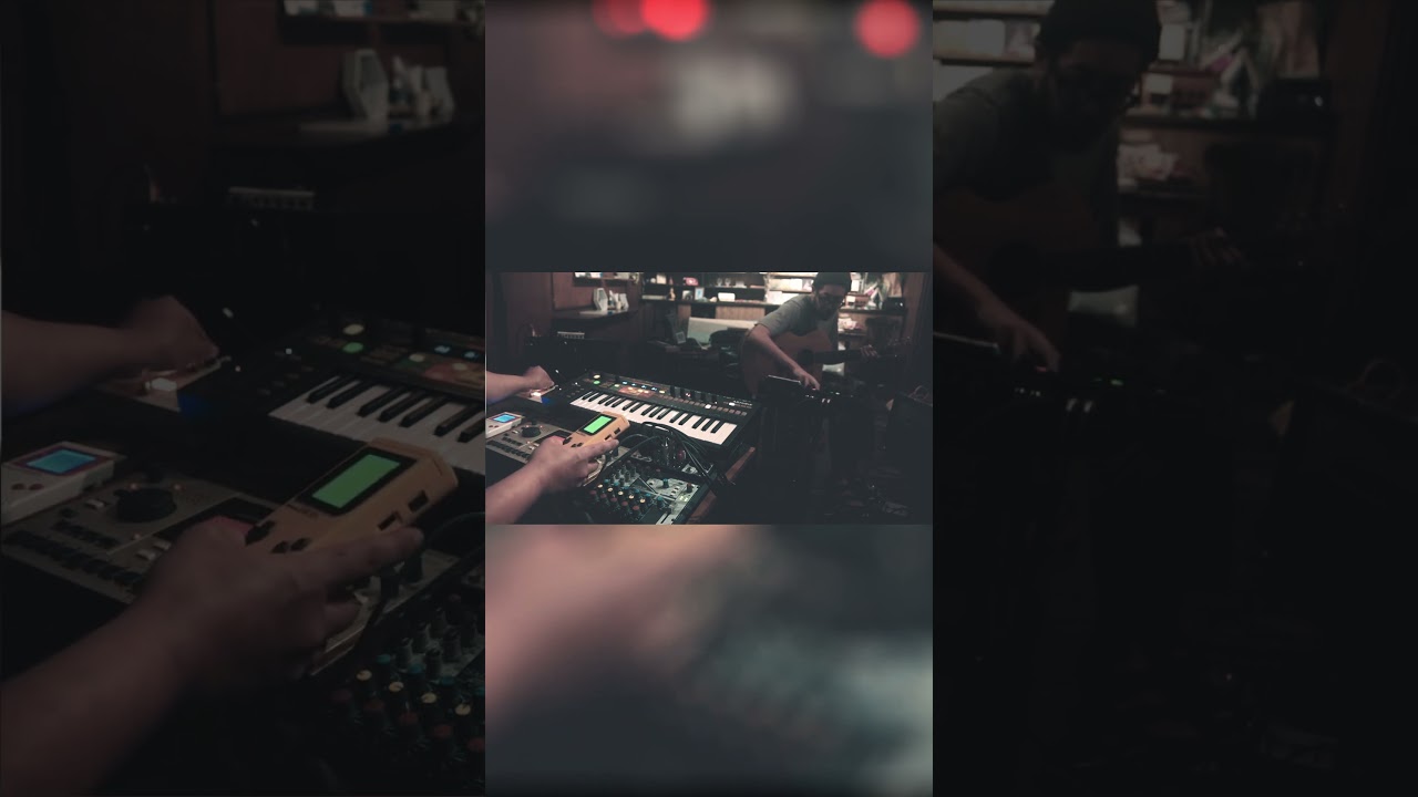 colobs ambient looping 241005_2 (with Gameboy Amenizer) #shorts