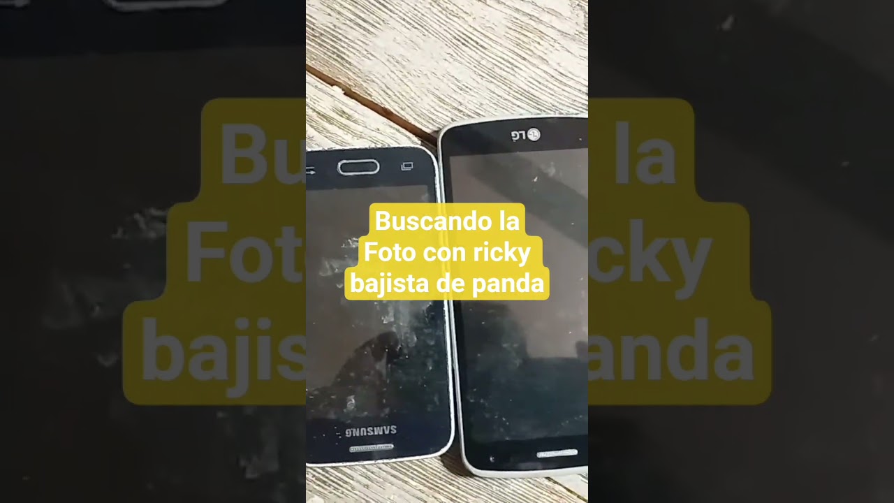 Panda Buscando La Foto con Ricky