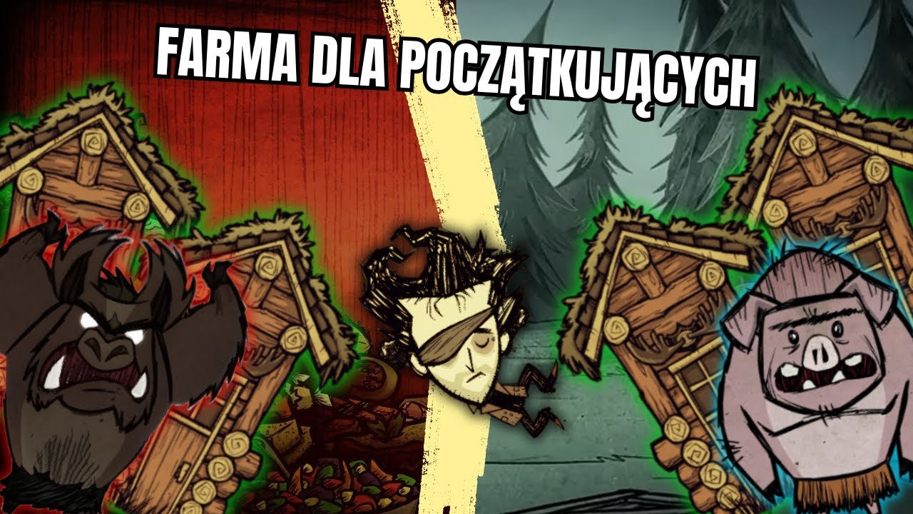 Wszystko co musisz wiedzieć o farmie dla początkujących