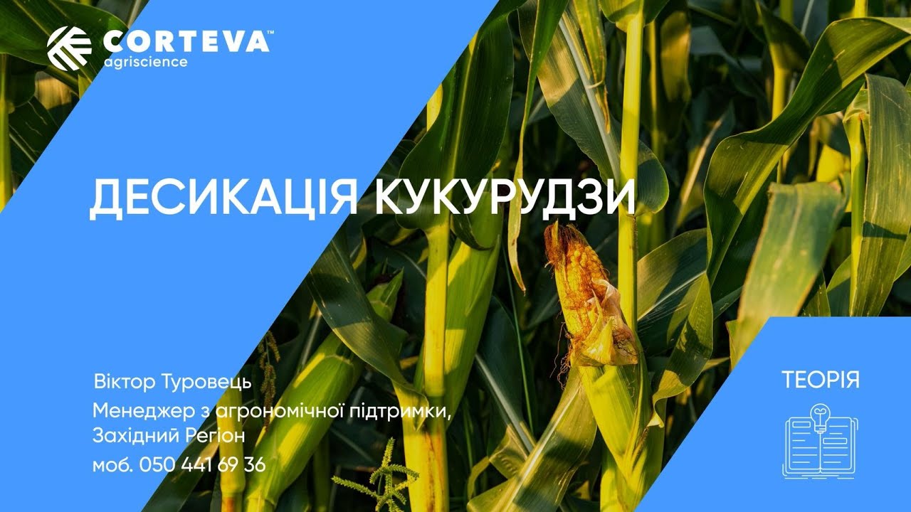 Агропоради від Corteva. Серія 16. Теорія. Десикація кукурудзи